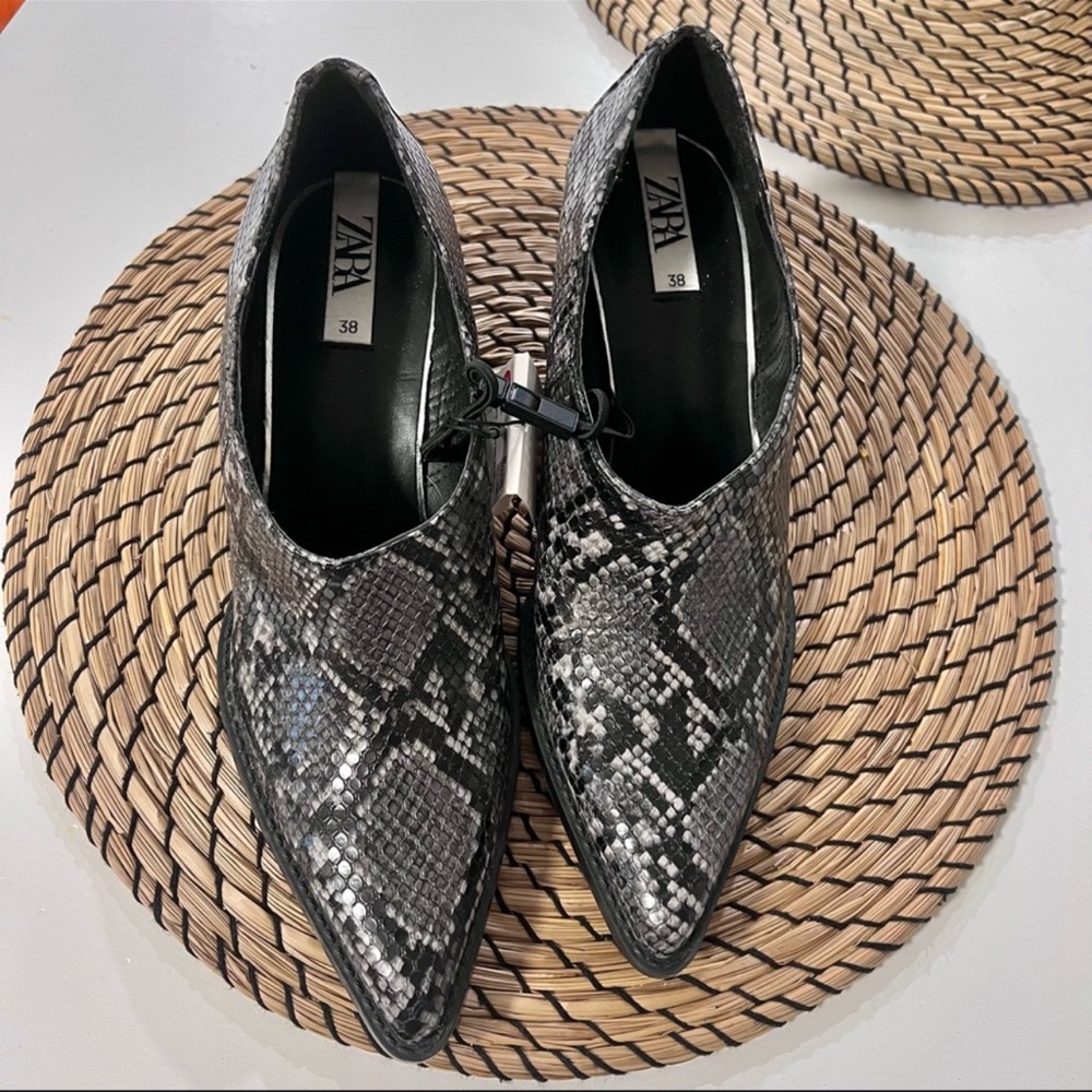 Zara snake print ankle booties Sz 7 1/2